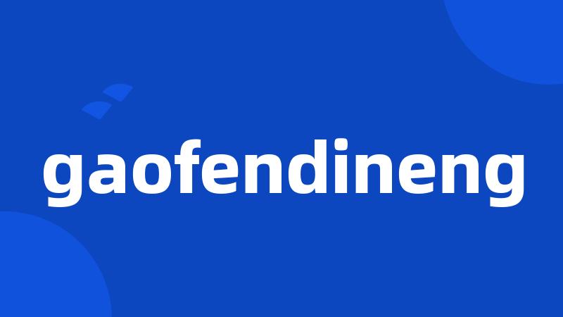 gaofendineng