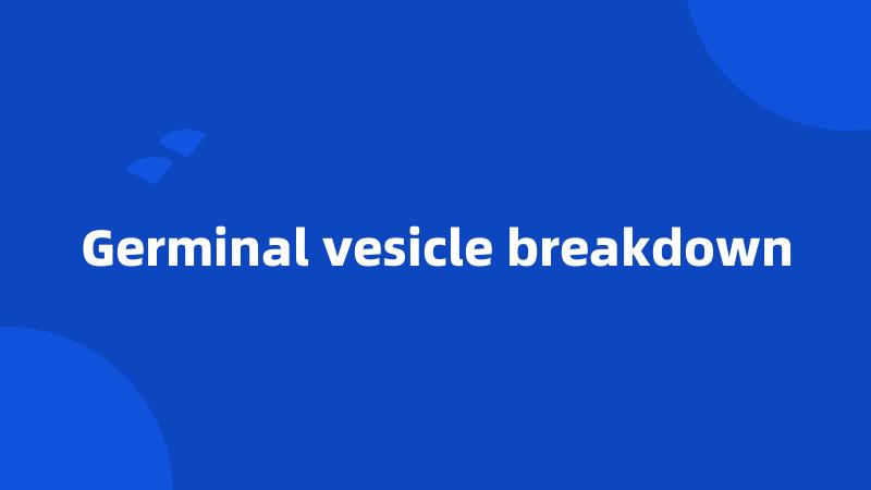 Germinal vesicle breakdown