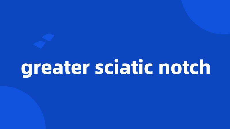 greater sciatic notch