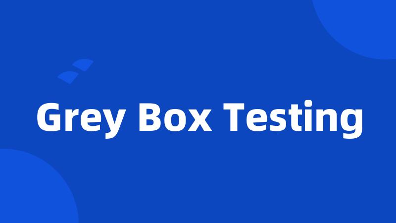 Grey Box Testing