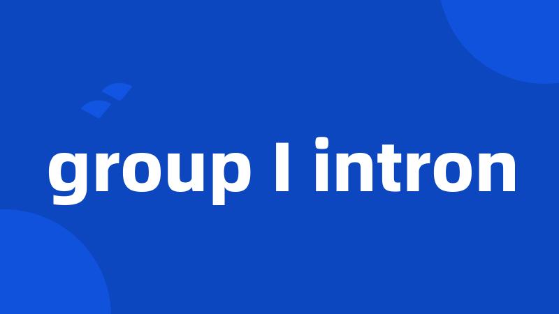 group I intron