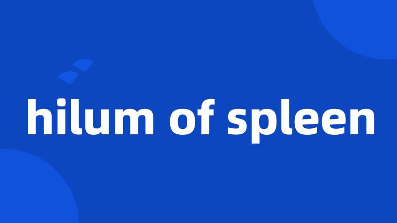 hilum of spleen