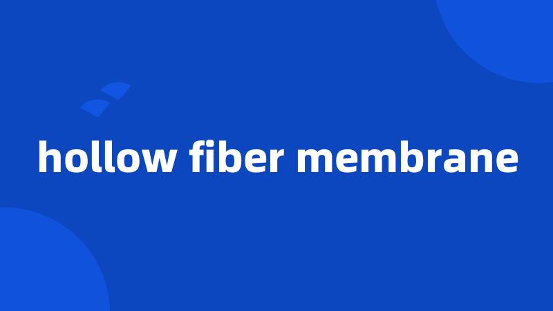 hollow fiber membrane