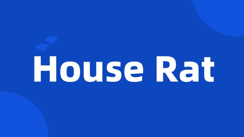 House Rat