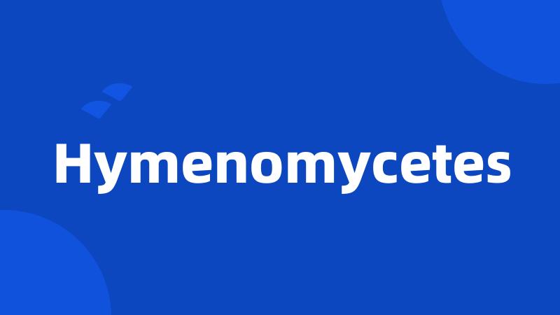 Hymenomycetes