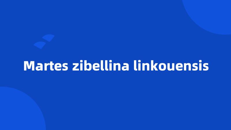 Martes zibellina linkouensis