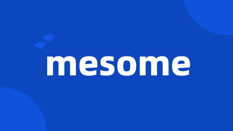 mesome