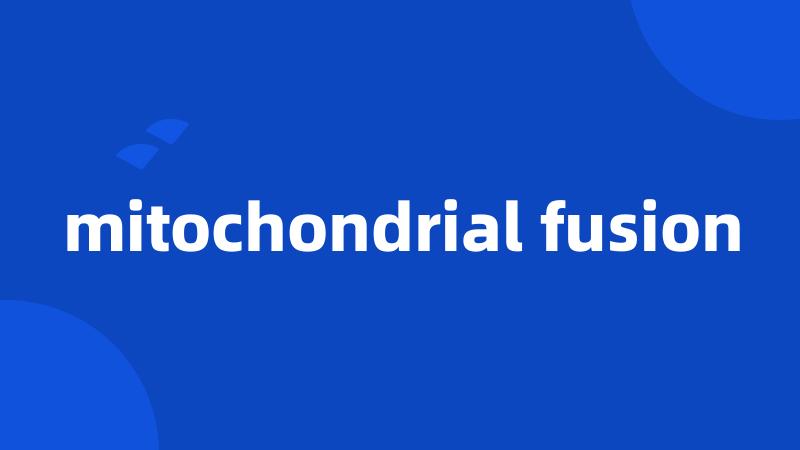 mitochondrial fusion