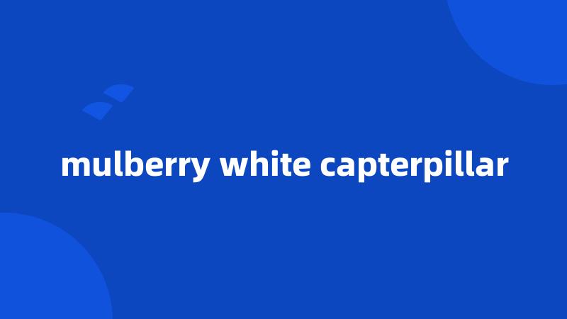 mulberry white capterpillar