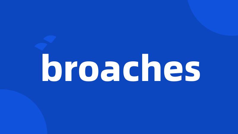 broaches