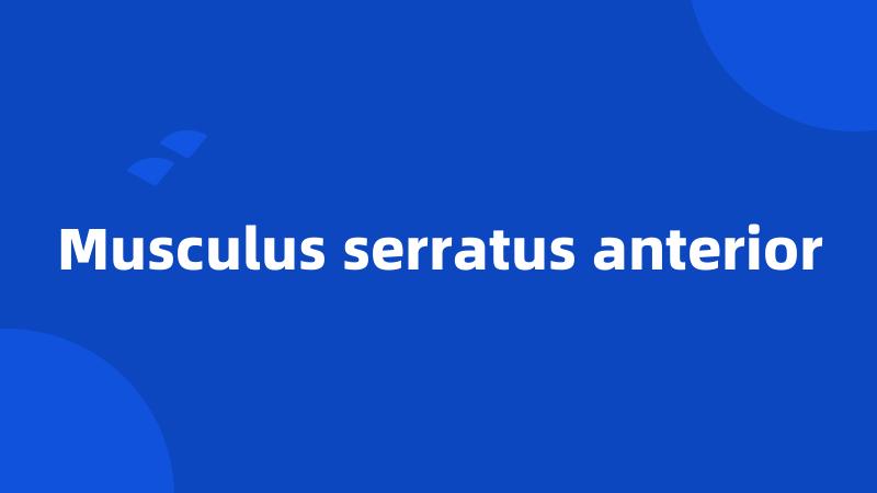 Musculus serratus anterior