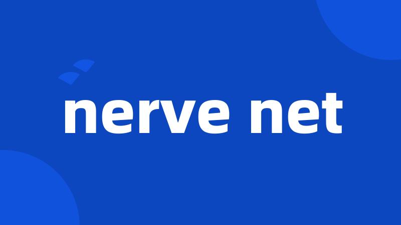 nerve net