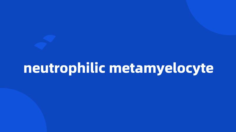 neutrophilic metamyelocyte
