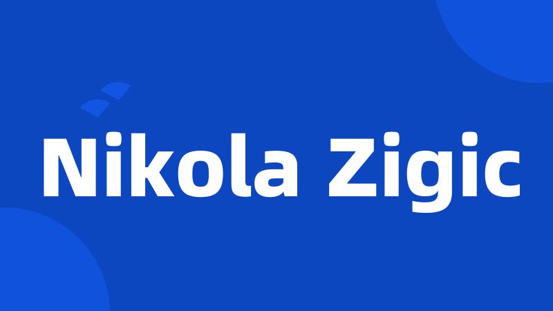 Nikola Zigic