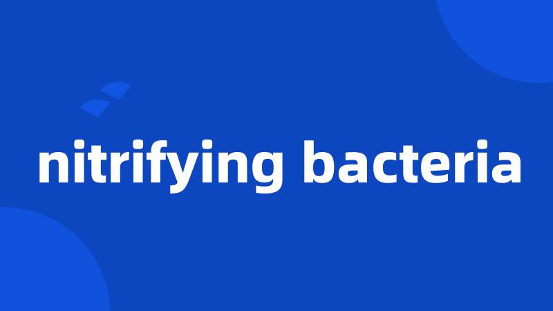 nitrifying bacteria