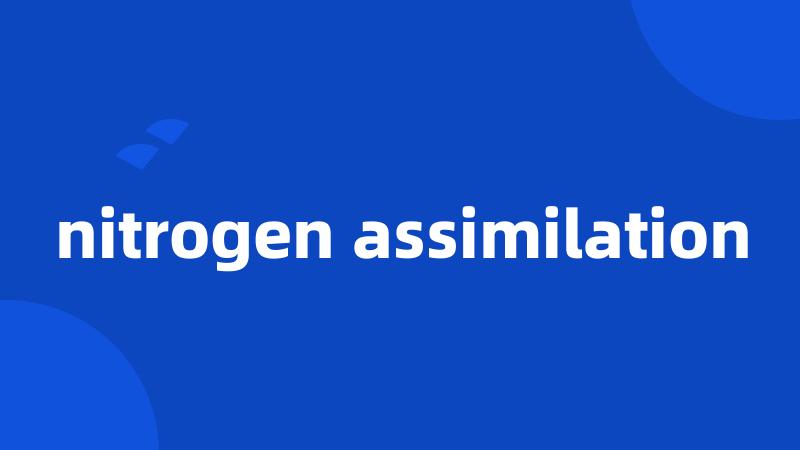 nitrogen assimilation