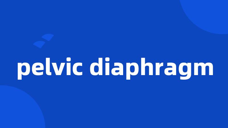 pelvic diaphragm