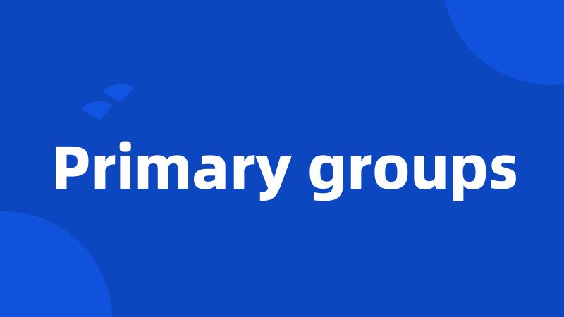 Primary groups