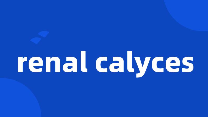 renal calyces