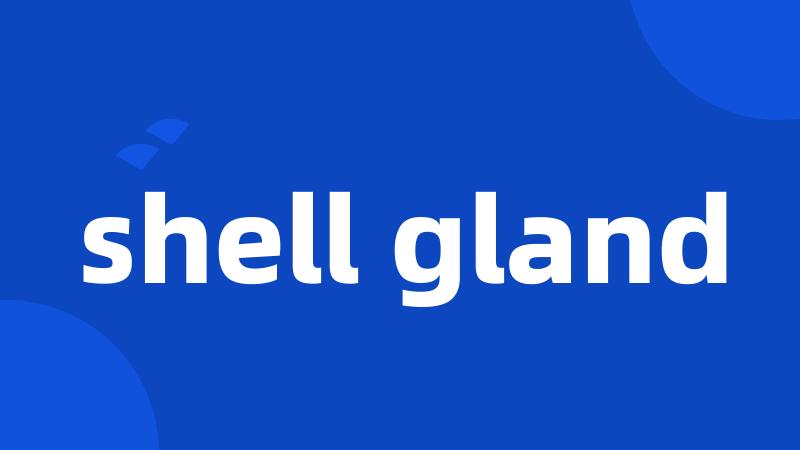 shell gland