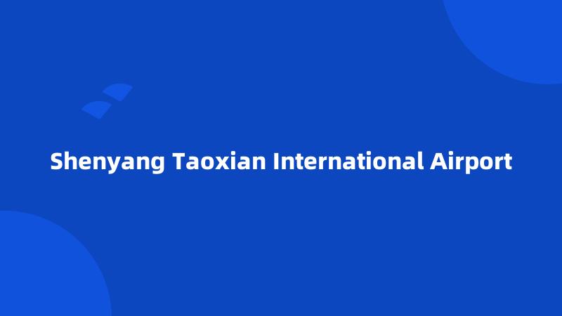 Shenyang Taoxian International Airport
