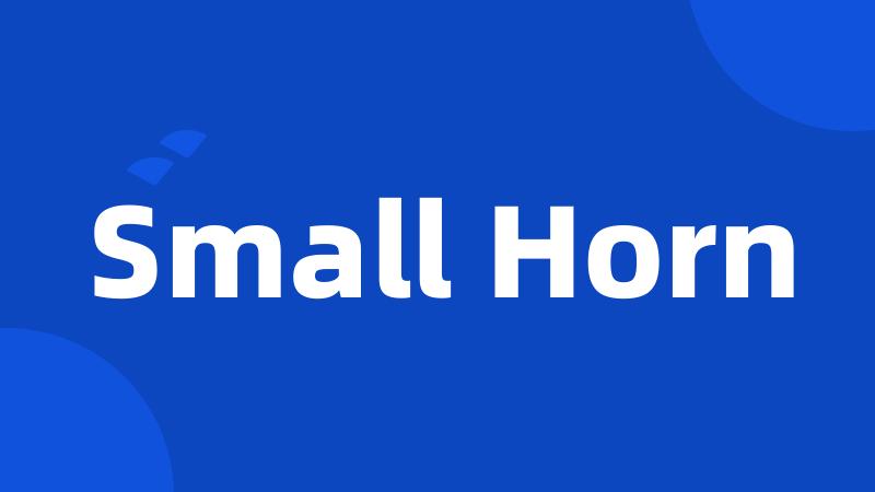 Small Horn