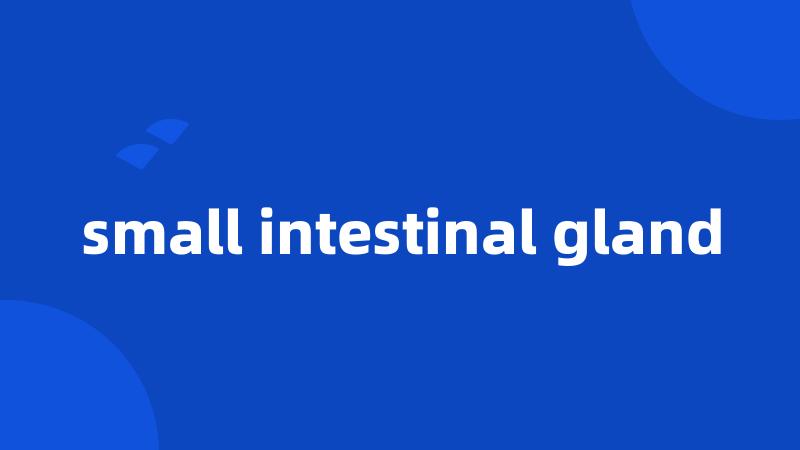 small intestinal gland