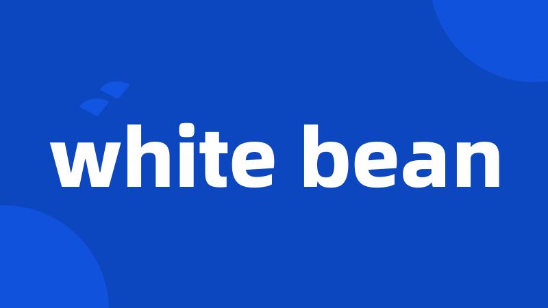 white bean
