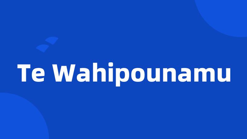 Te Wahipounamu