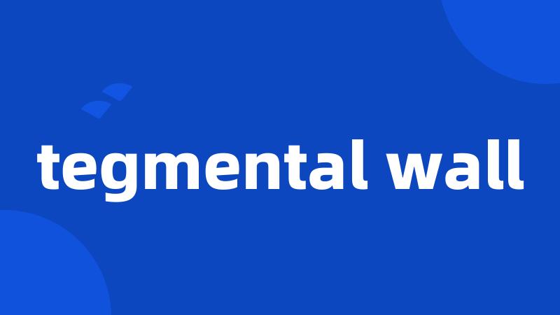tegmental wall