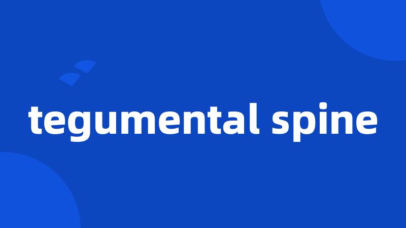 tegumental spine