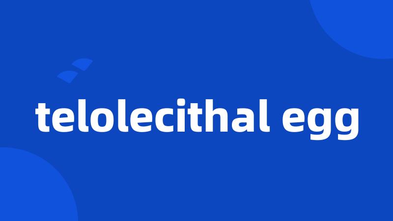 telolecithal egg