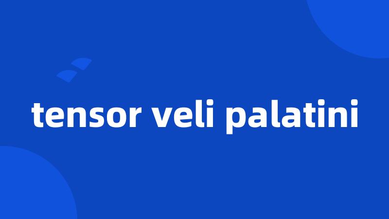tensor veli palatini
