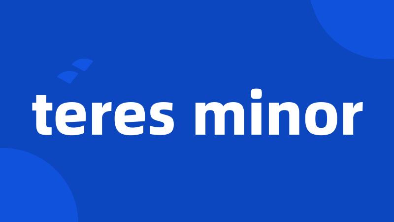 teres minor