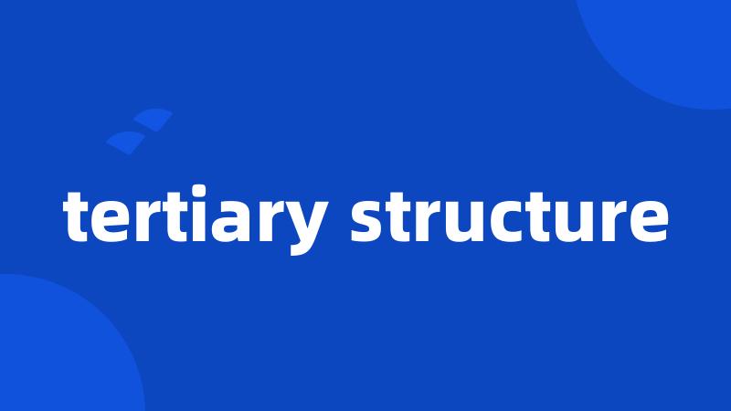 tertiary structure