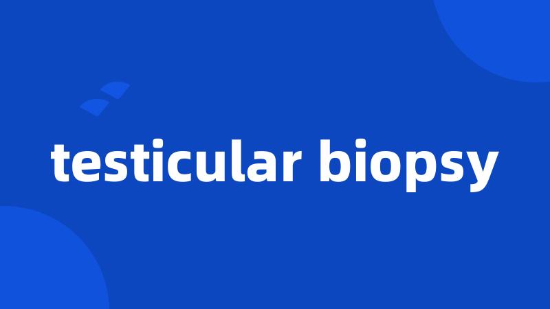 testicular biopsy