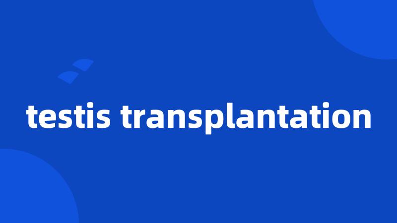 testis transplantation