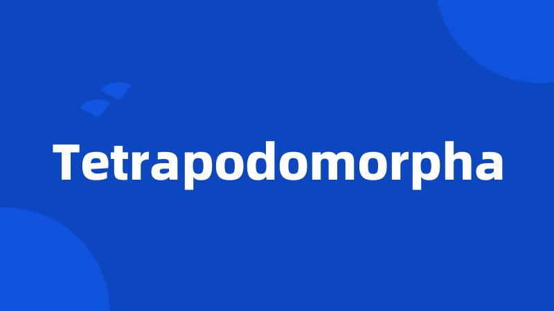 Tetrapodomorpha