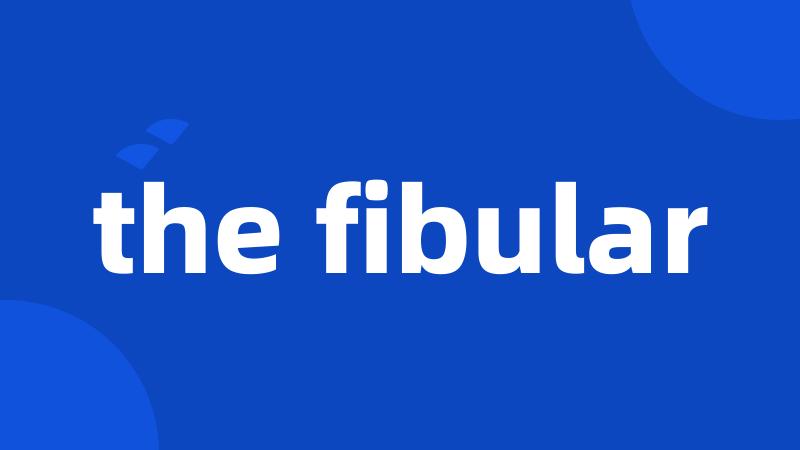 the fibular
