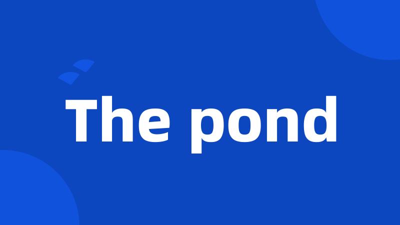The pond