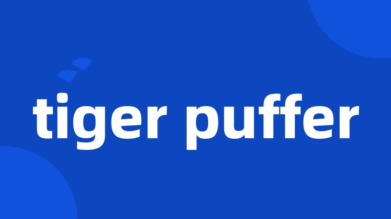 tiger puffer