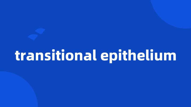 transitional epithelium