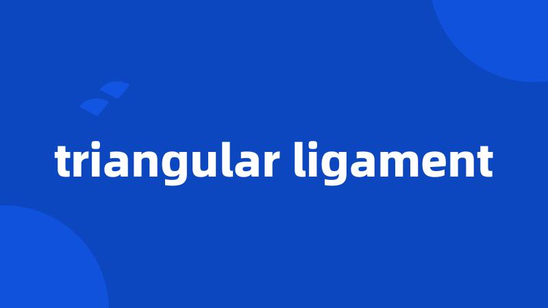 triangular ligament