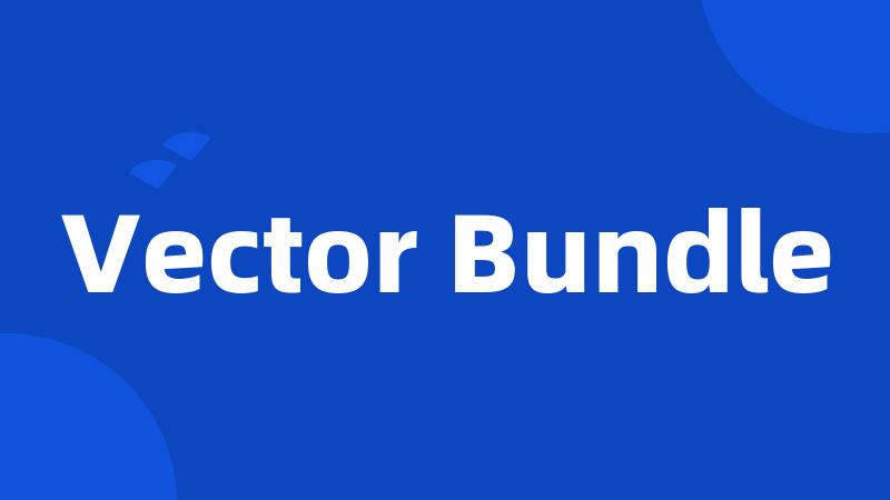 Vector Bundle