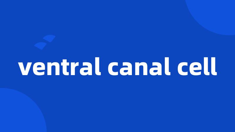 ventral canal cell