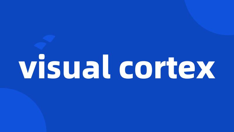 visual cortex