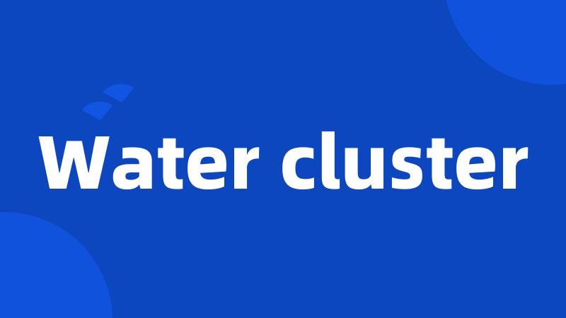 Water cluster