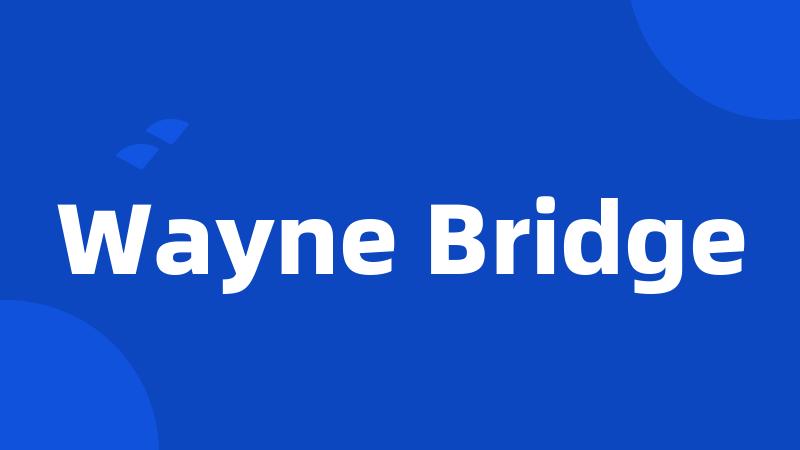 Wayne Bridge