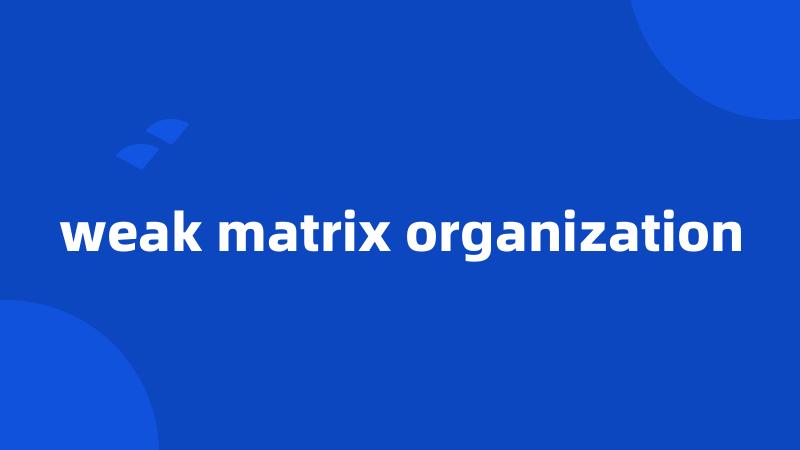 weak matrix organization