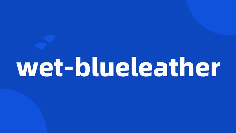 wet-blueleather